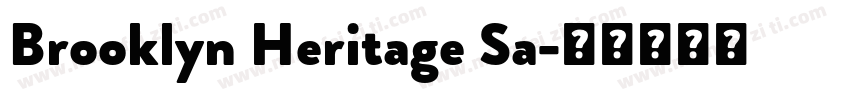 Brooklyn Heritage Sa字体转换